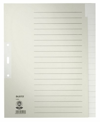 Leitz Papier  Register Lei 1220 A4, blanko 12200085
