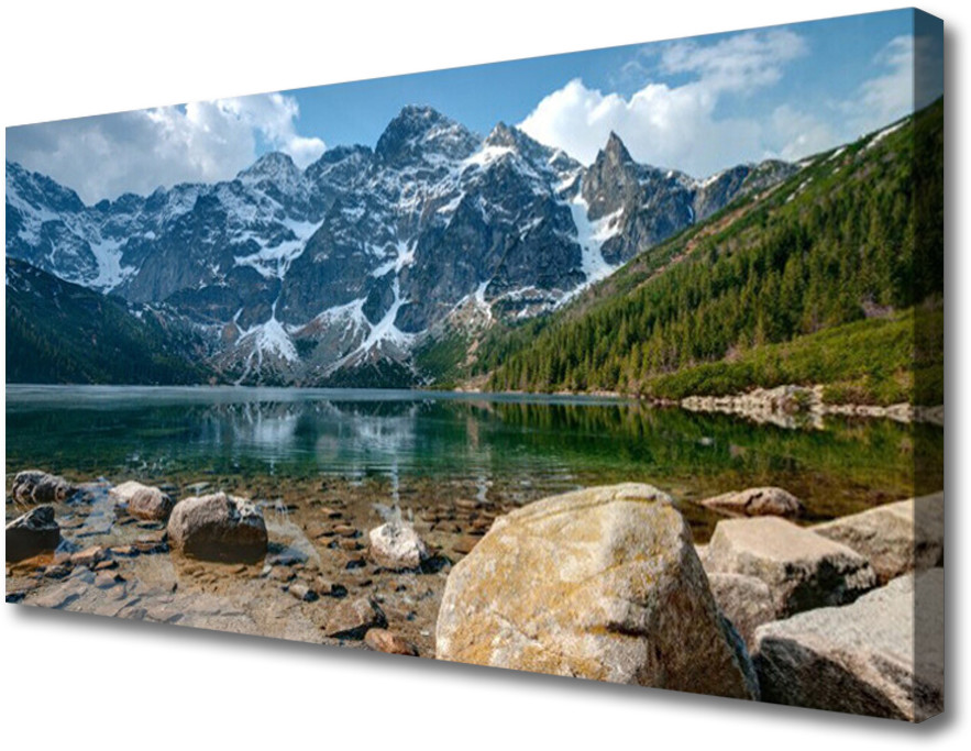 PL Tulup Obraz Canvas Góry Las Jezioro Tatry 125x50cm