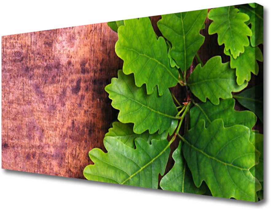 PL Tulup Obraz na Płótnie Liście Dąb Drzewo 100x50cm