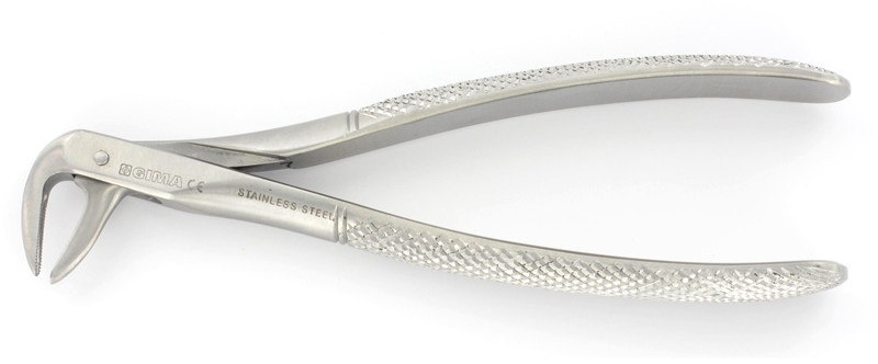 GIMA EXTRACTING FORCEPS - lower Kleszcze ekstrakcyjne TOW006752
