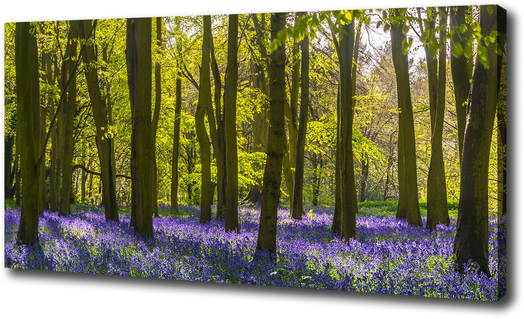 Foto obraz canvas Las wiosną