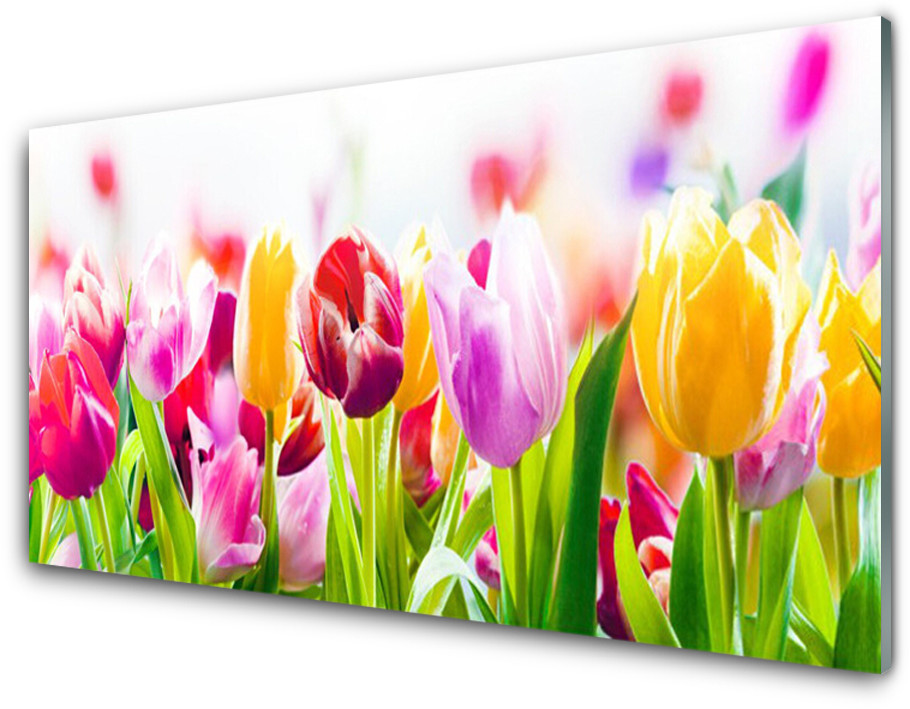 Tulup.pl Panel Kuchenny Tulipany Kwiaty 100x50cm