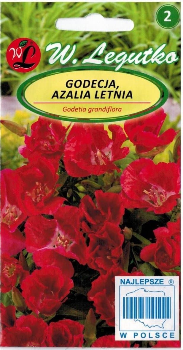 W. legutko sp. z o.o Nasiona Godecja, Azalia letnia czerwona, 1g