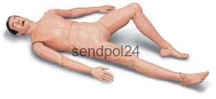 Laerdal Crash Kelly 201-10001