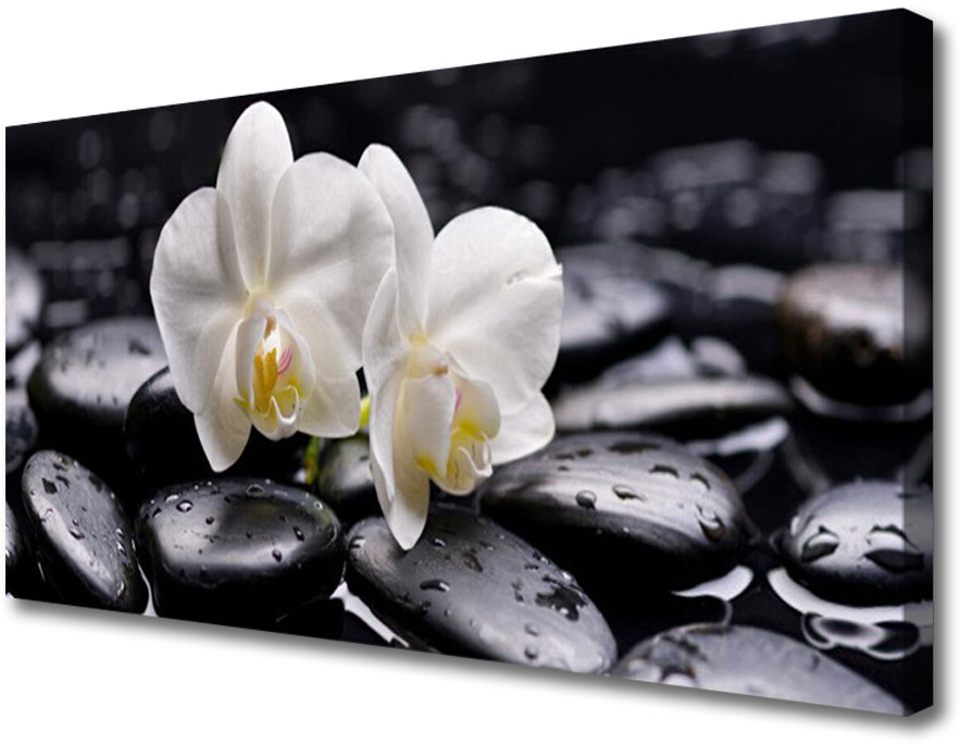 PL Tulup Obraz Canvas Zen Biały Storczyk Spa 120x60cm