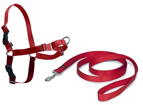 PetSafe Easy Walk uprząż dla psa, z lnianym sznurkiem o długości 1,8 m, bez ciągnięcia, wysoki komfort noszenia, łatwe zakładanie i zdejmowanie, mały, czerwony (EW-H-S-RD-45)