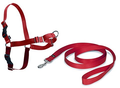 PetSafe Easy Walk uprząż dla psów XL czerwona, 1,8 m smycz, bez ciągnięcia dla bardzo dużych psów EW-H-XL-RD-45