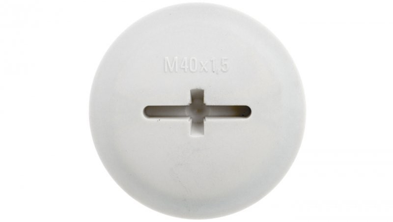 Lapp Kabel Zaślepka poliamidowa M40 IP68 z O-Ring SKINDICHT BLK-GL-M 40X1,5 jasnoszara 52006157 52006157