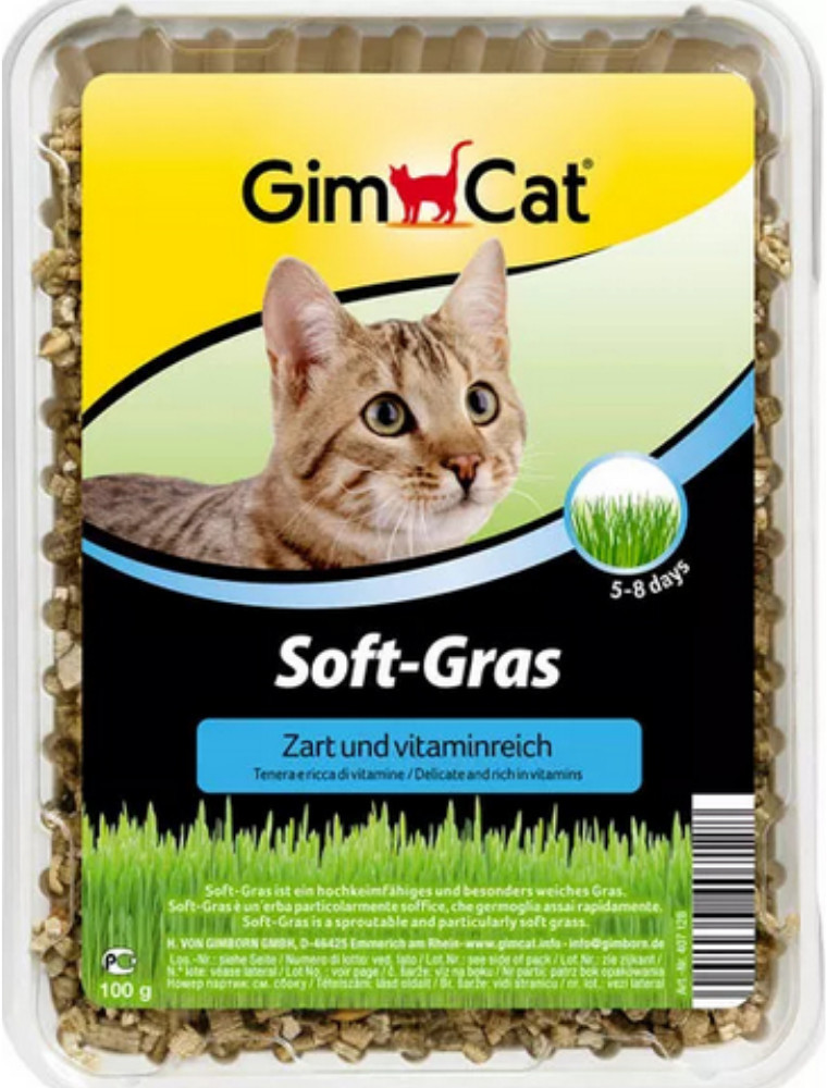 Gimpet Soft Gras trawa dla kota 100g