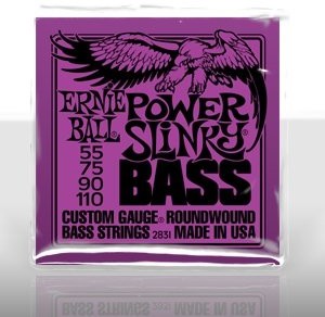 Ernie Ball EB2831