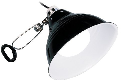 Exo Terra EXO Terra Glow Light porcelanowa lampa zaciskowych i źródeł światła do fotografowania, 14 cm PT2052
