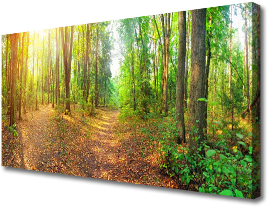 PL Tulup Obraz na Płótnie Las Natura Drzewa 120x60cm