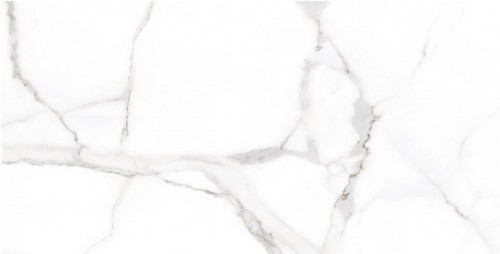 Cicogres Gres Alsacia 60x120