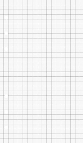 Brunnen 106610201 wkłady do kołonotatnika, 8,8 x 15,2 cm, w kratkę, 50 arkuszy, 70 G/M) 106610201