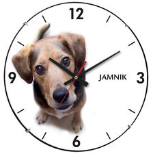 Atrix Zegar ścienny soczewka pies jamnik ATE2030JM