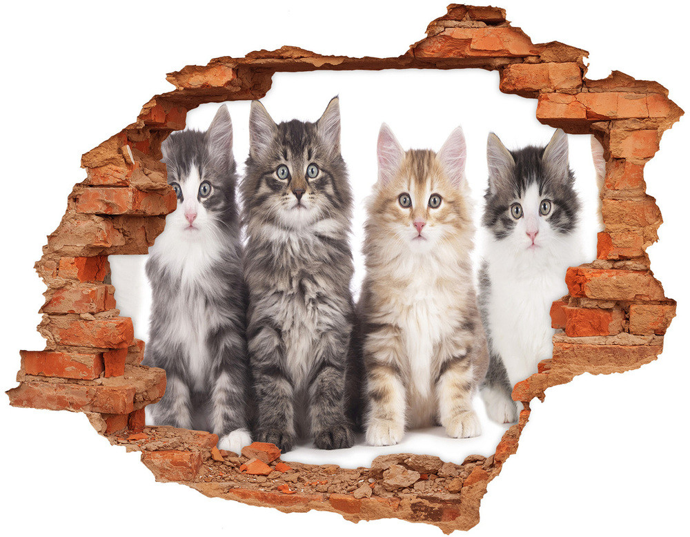 Wallmuralia.pl Dziura 3d fototapeta naklejka Sześć kotów