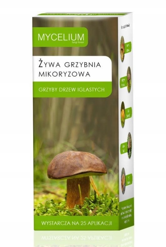 Grzybnia Mikoryza Grzyby Drzew Iglastych 250 ml