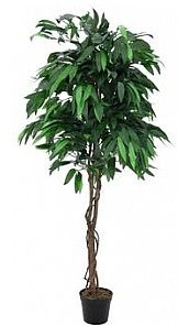 Europalms Mango roślina sztuczna Europalms Jungle tree Mango, 180cm 82506726