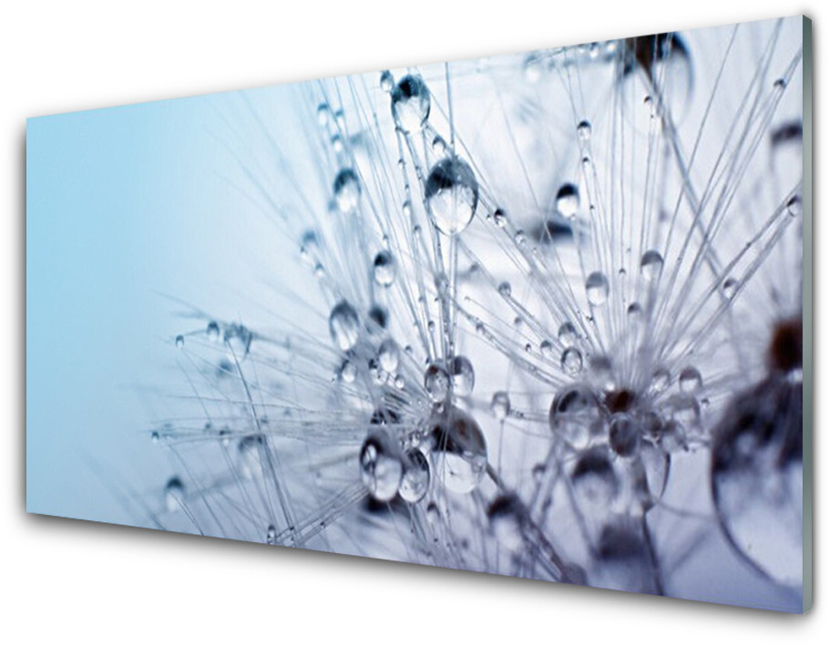 Tulup.pl Panel Kuchenny Mniszek Lekarski Roślina 100x50cm