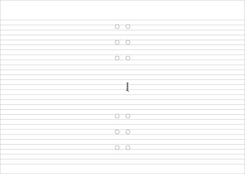 Filofax 342210 notatnik A5, linie, biały
