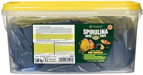 Tropical Granulat  Super Spirulina Forte Mini-podszewka z 36% udziału w Spirulina (Plat Ensis), 1er Pack (1 X 3 L) C-061