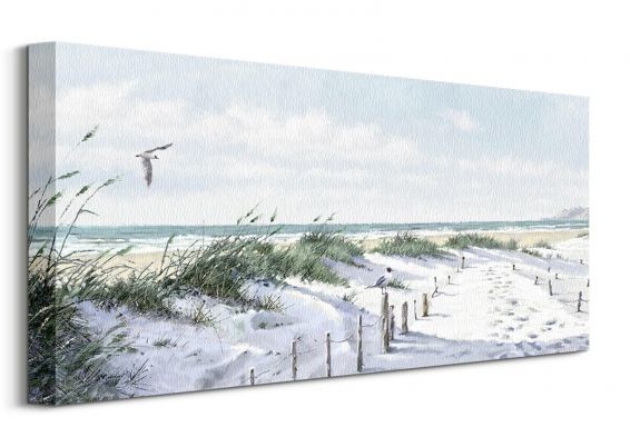 Pyramid Posters Ścieżka na plażę - obraz na płótnie WDC91135