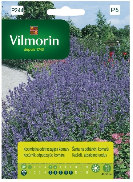 Vilmorin Nasiona kocimiętka odstraszająca komary