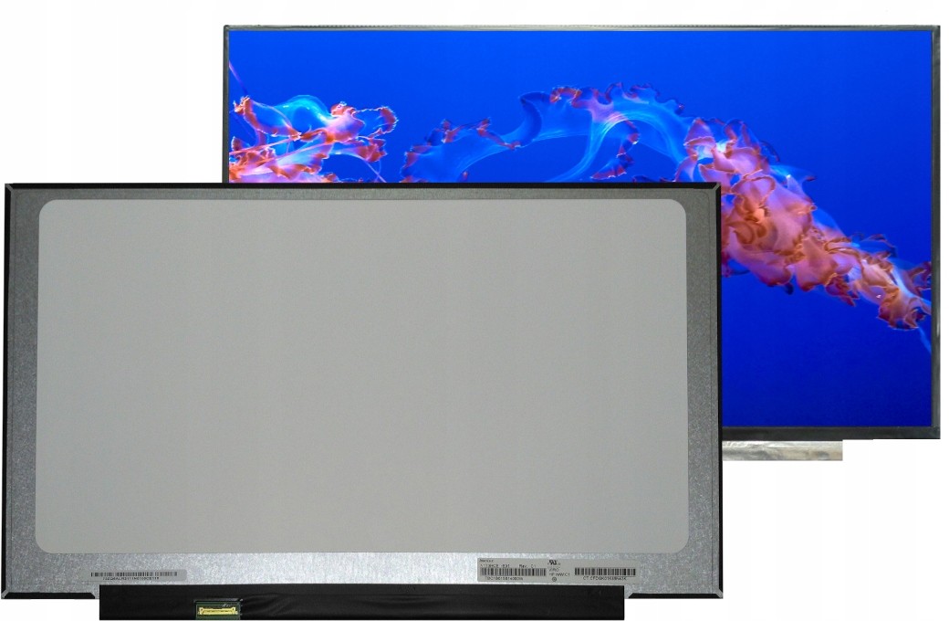Matryca B173HAN04.2 Auo Fhd Ips