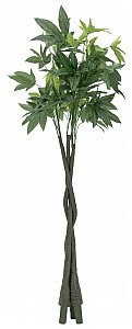 Europalms EUROPALMS Pachira kula, sztuczna roślina, 160 cm 82600165