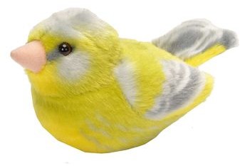 Wild Republic Dzwoniec Greenfinch) ptaszek z głosem 19488