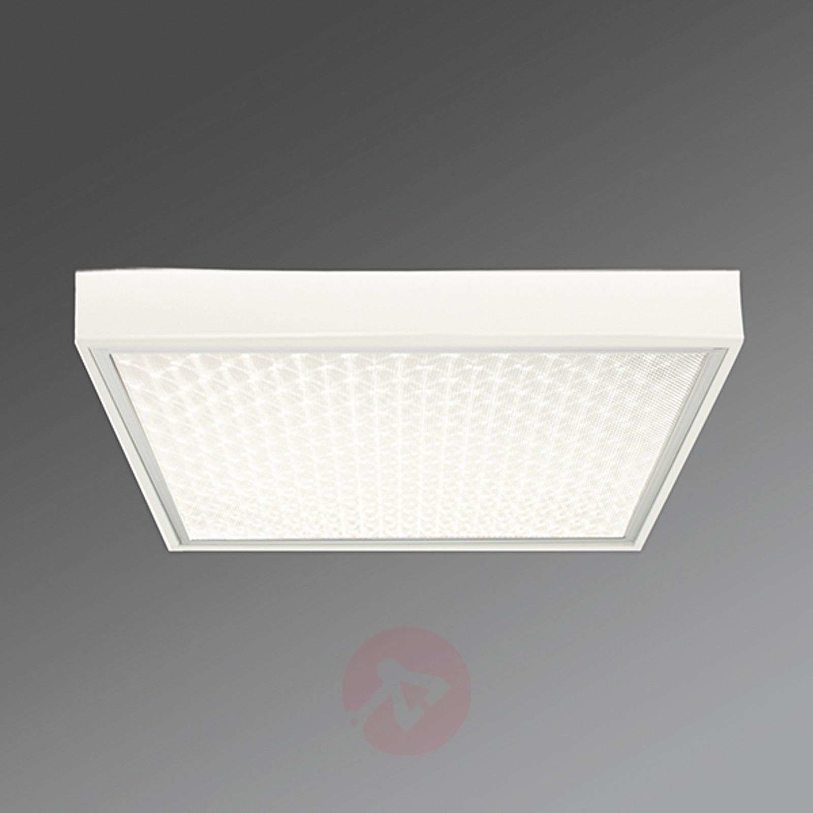Regiolux Biurowa lampa sufitowa Protection-PRAMP 660 BAP