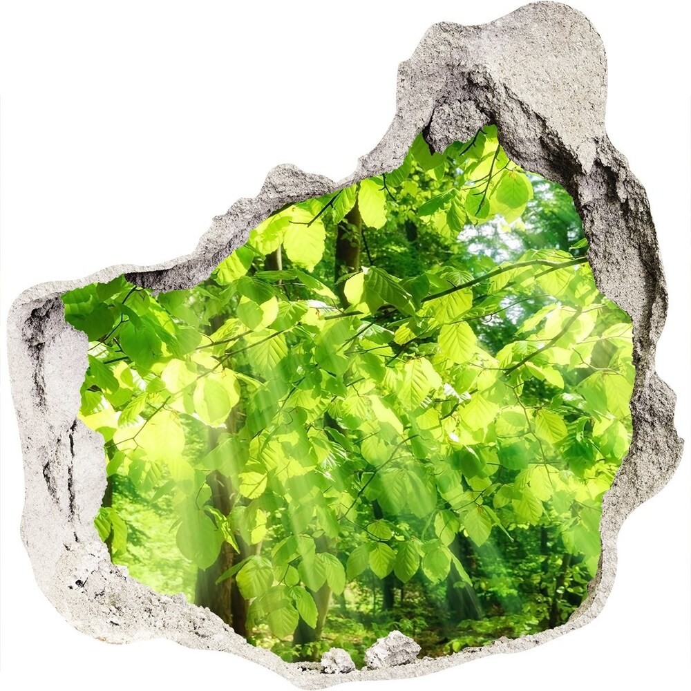 Wallmuralia.pl naklejka fototapeta 3D widok Liście buku