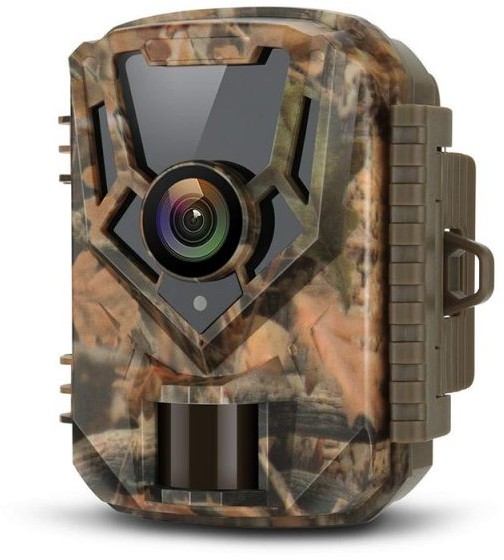 Fotopułapki - ranking 2026