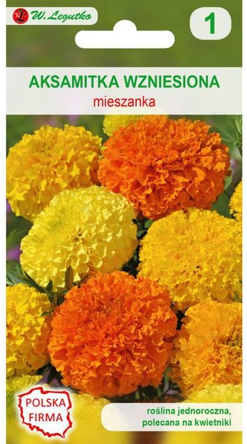 Legutko Aksamitka wzniesiona MIESZANKA