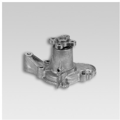 HEPU Pompa wodna P7761