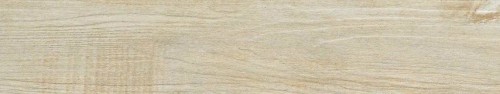 Italgraniti Gres Alnus Puro 20x120 cm AU01EA