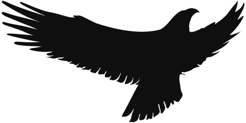 Naklejki Odstraszające Ptaki drapieżne szybę 25 cm