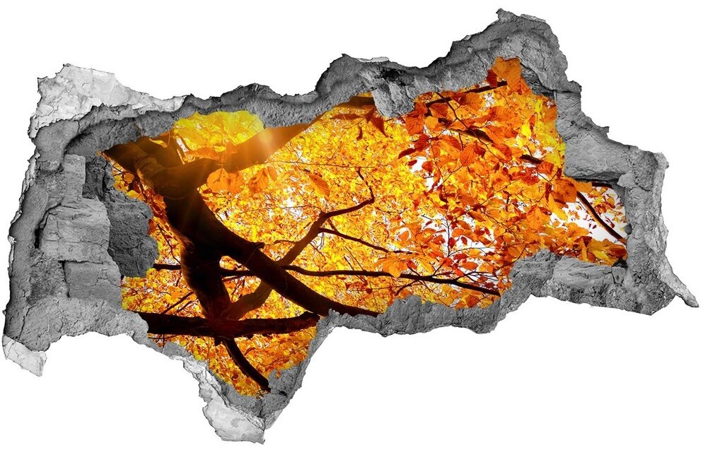 Wallmuralia.pl Samoprzylepna dziura na ścianę Korona drzew jesień