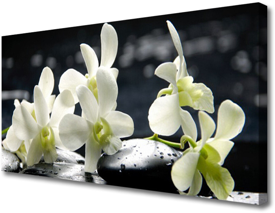 PL Tulup Obraz Canvas Kwiat Orchidea Roślina 125x50cm