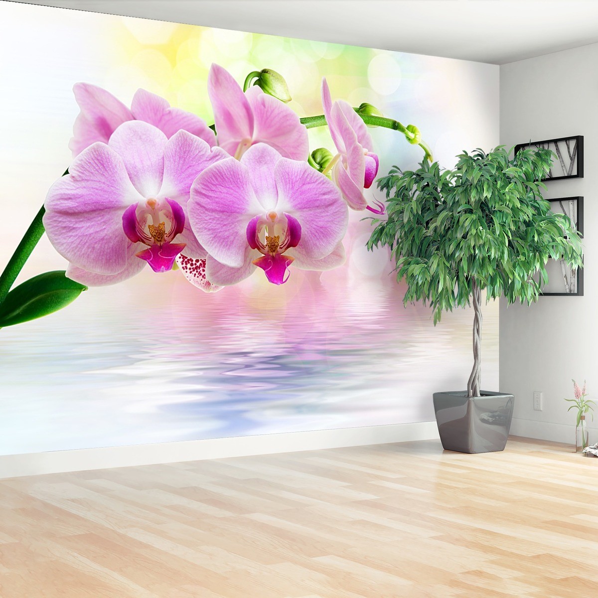 Fototapeta Orchidea Róż