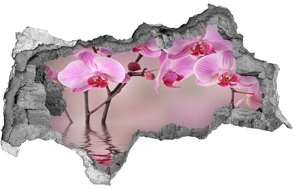 Wallmuralia.pl Samoprzylepna dziura na ścianę Różowa orchidea