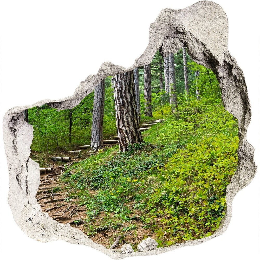 Wallmuralia.pl Dziura 3d w ścianie naklejka Leśna ścieżka