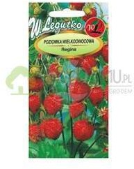 Legutko Poziomka Regina 0,1 g