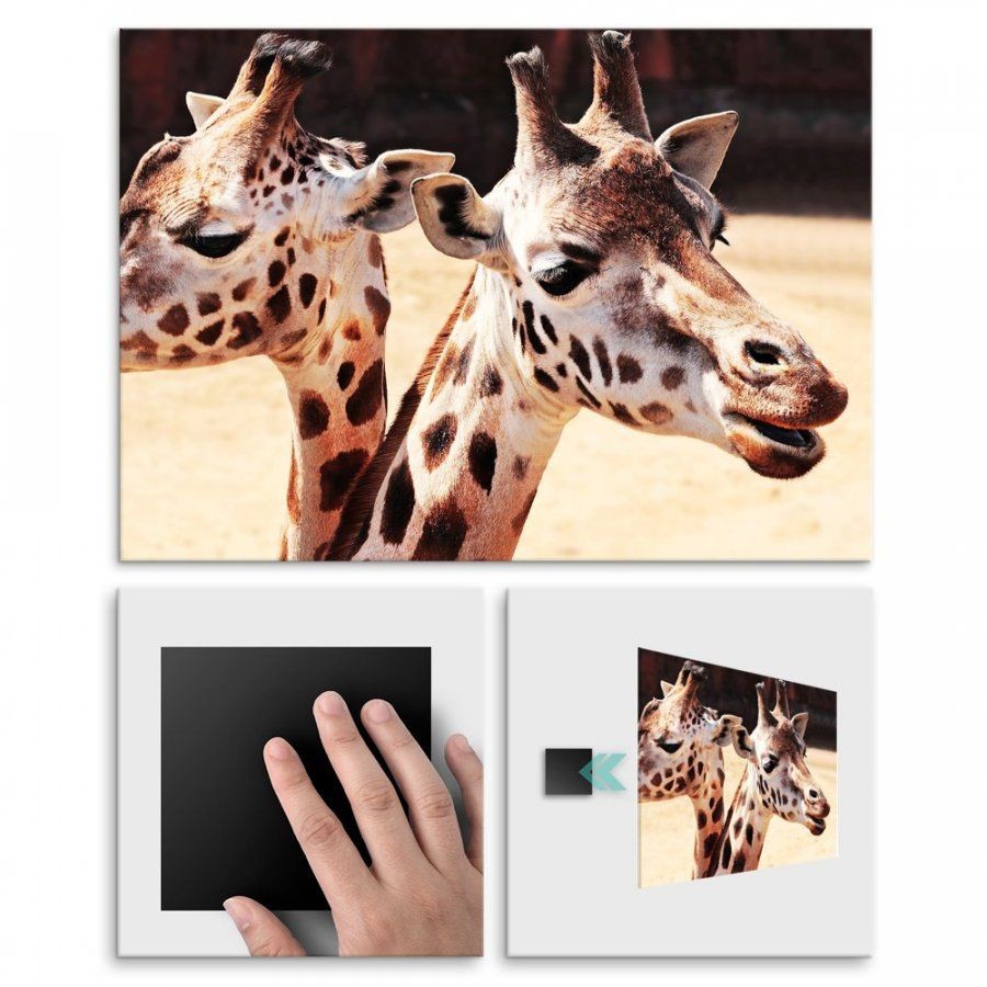 Pix4home Plakat metalowy żyrafy M POS-M-01799