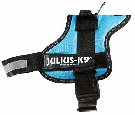 Julius-K9 162 W, K9-power naczynia, aquamarine, 0, zielono-niebieski 5999053641559