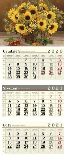Crux Kalendarz 2021 Trójdzielny Poster MIX
