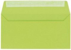 Clairefontaine Clairefontaine Koperta DL jasnozielona WIKR-948716 WIKR-948716