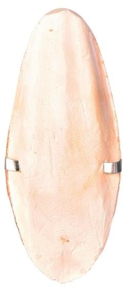 Trixie Sepia duża z uchwytem 16 cm