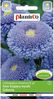 Plantico Aster Sidonia niebieski 1g