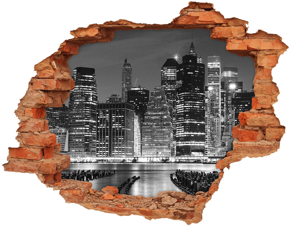 Wallmuralia.pl Dziura 3d foto tapeta naklejka Pies i kot